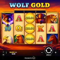 KinBet - Gra Wolf Gold Slot - Pragmatic Play